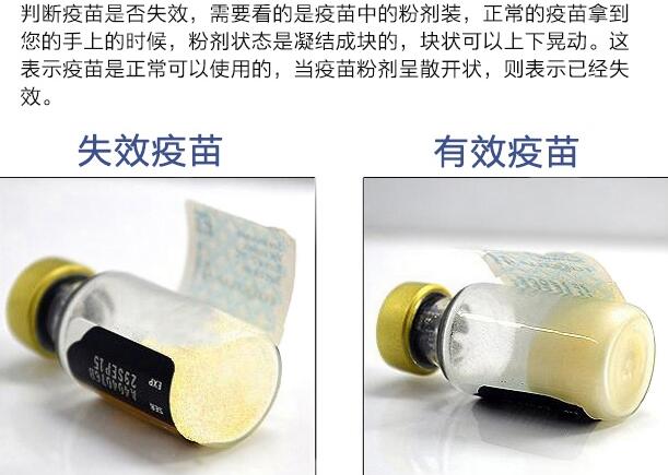 如何辨別輝瑞衛(wèi)佳疫苗真假？(圖1)