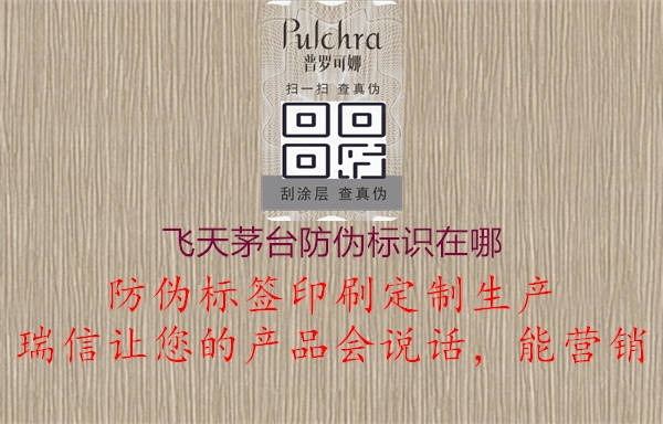 飛天茅臺防偽標識在哪1.jpg