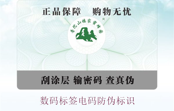 數(shù)碼標(biāo)簽電碼防偽標(biāo)識(圖1)