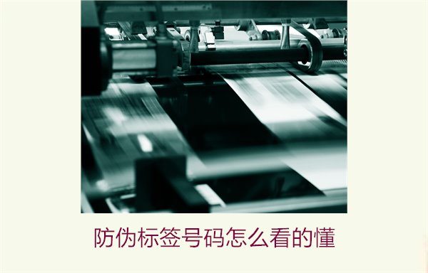 防偽標(biāo)簽號(hào)碼怎么看的懂？詳細(xì)解析防偽標(biāo)簽號(hào)碼的識(shí)別方法與技巧(圖1)