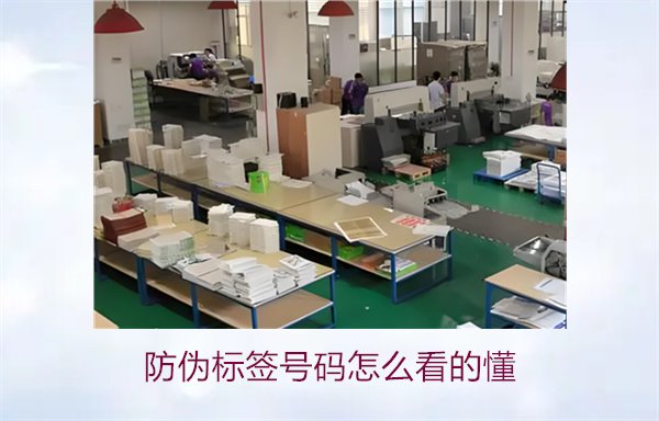 防偽標(biāo)簽號(hào)碼怎么看的懂？詳細(xì)解析防偽標(biāo)簽號(hào)碼的識(shí)別方法與技巧(圖2)