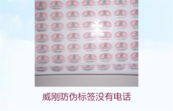 威剛防偽標(biāo)簽沒有電話，如何通過其他方式驗證威剛防偽標(biāo)簽的真?zhèn)?圖3)